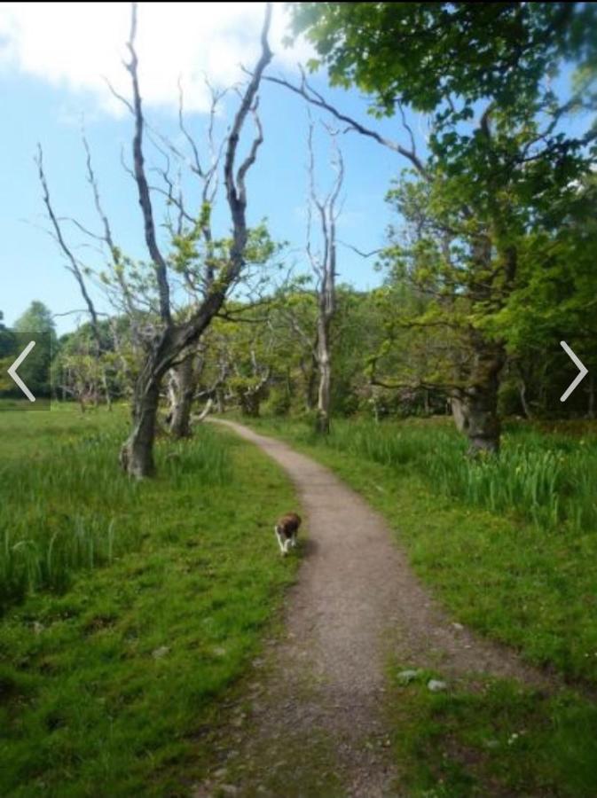 Happydays Caravan 1 Newton Stewart Whithorn Kültér fotó